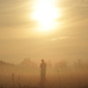 The Looming El Niño<em></em> Is Upping Odds of Record Heat in 2019